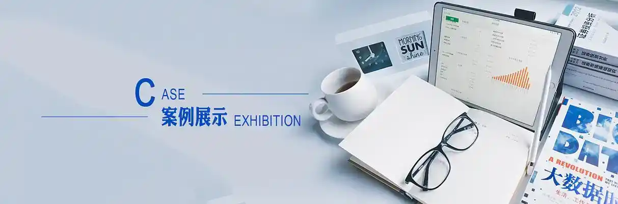 项城市软件开发